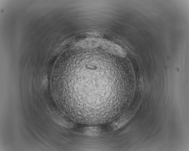 X0000084580320200703021537