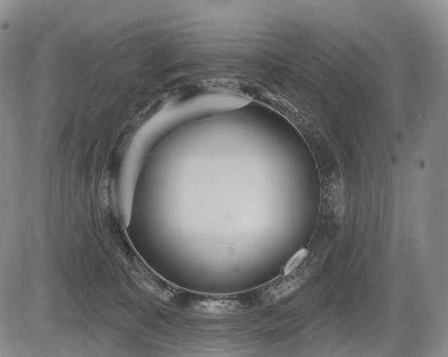 X0000084580323200703021537