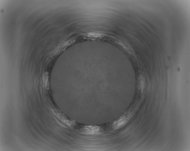 X0000084580328200703021537