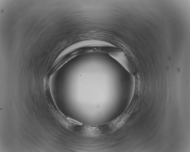 X0000084580333200703021537