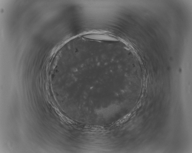 X0000084580337200703021536