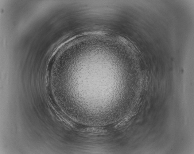 X0000084580338200703021536