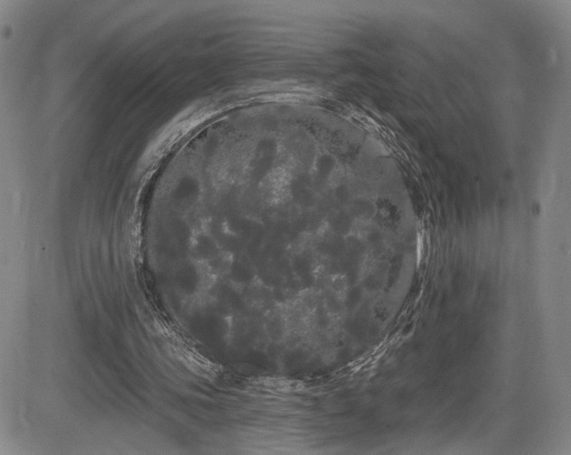 X0000084580339200703021536