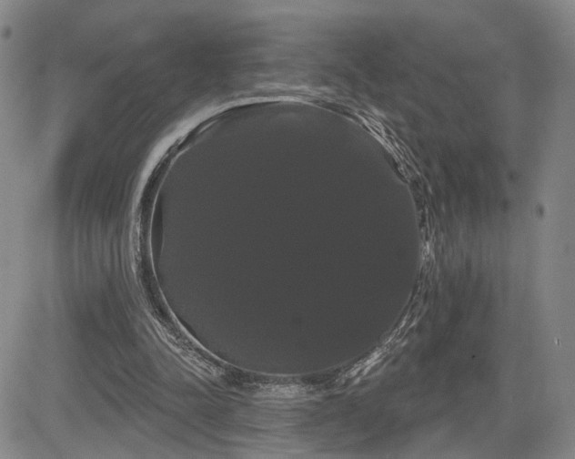 X0000084580342200703021536