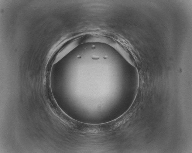 X0000084580344200703021536
