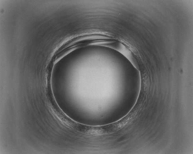 X0000084580350200703021536