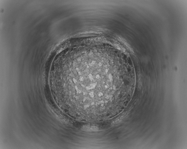 X0000084580354200703021536