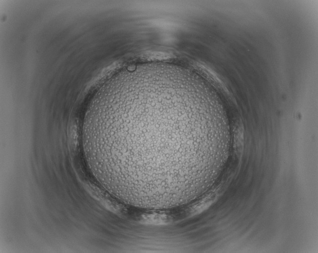 X0000084580362200703021536