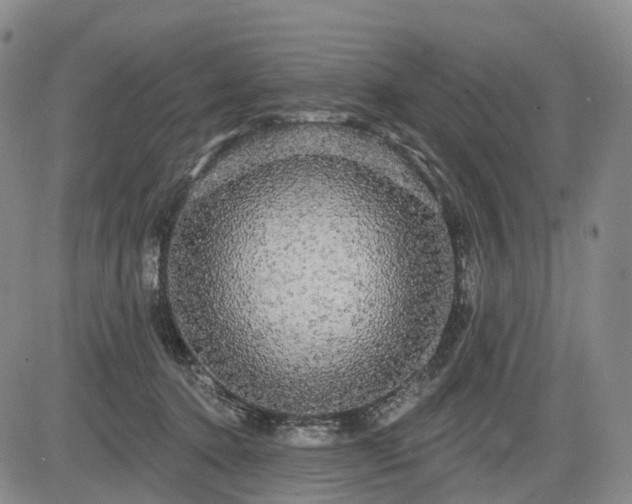 X0000084580368200703021536