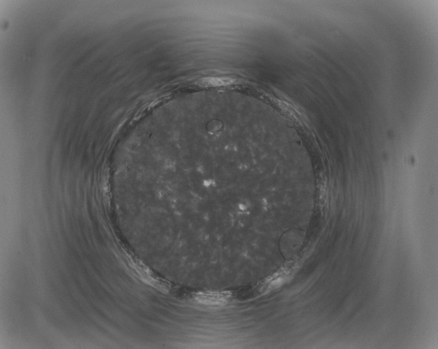 X0000084580373200703021536