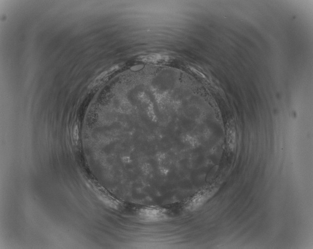 X0000084580375200703021536