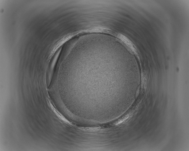 X0000084580389200703021536