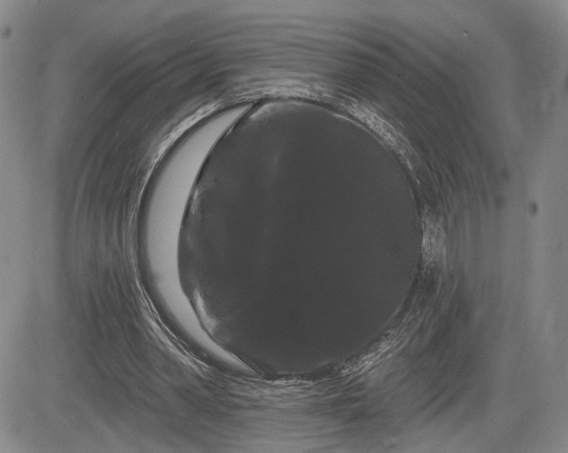 X0000084580390200703021536