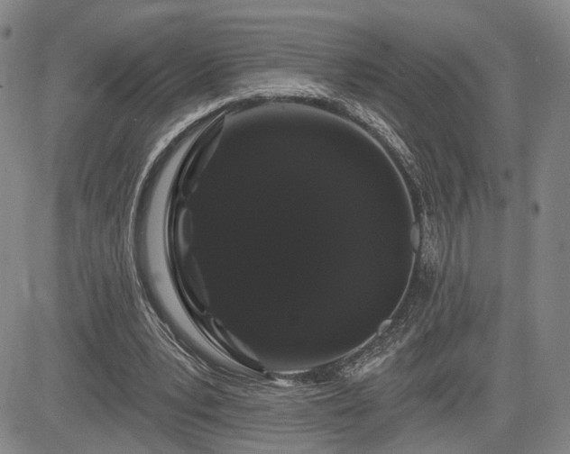 X0000084580391200703021536