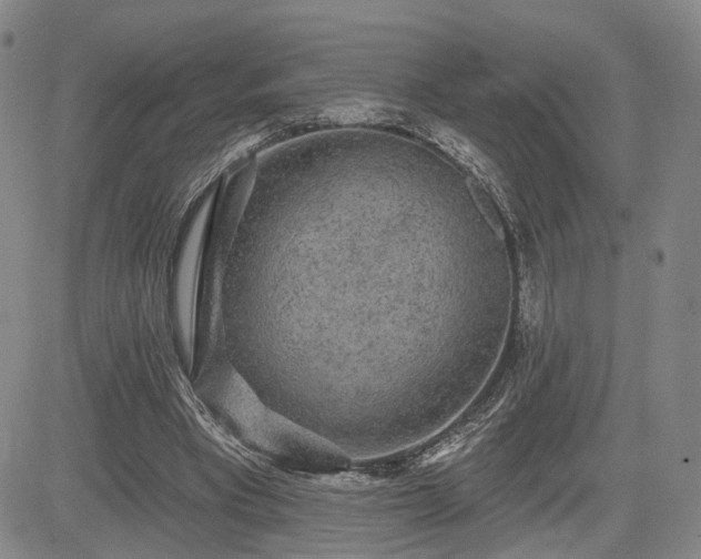 X0000084580393200703021536