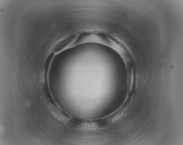 X0000084580403200703021535