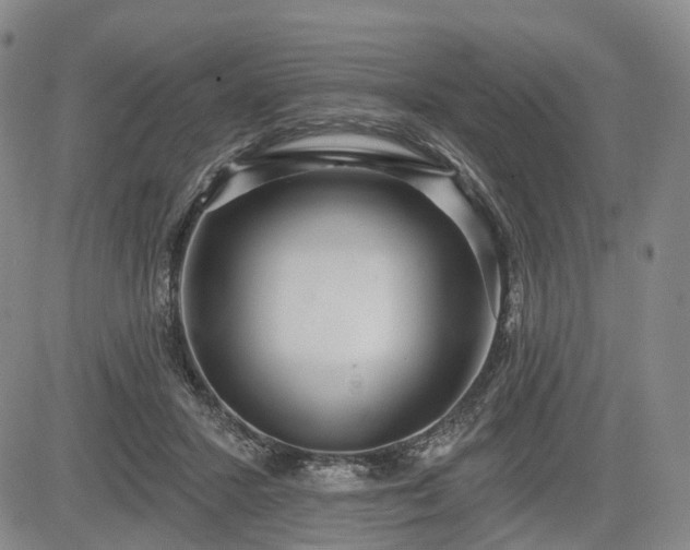 X0000084580407200703021535