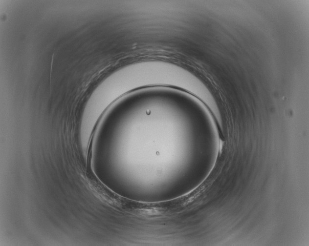 X0000084580411200703021535
