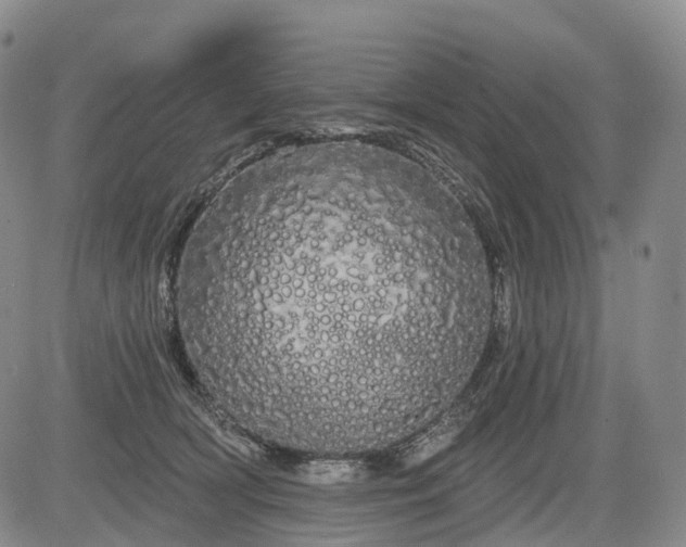 X0000084580418200703021535