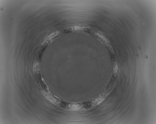 X0000084580419200703021535