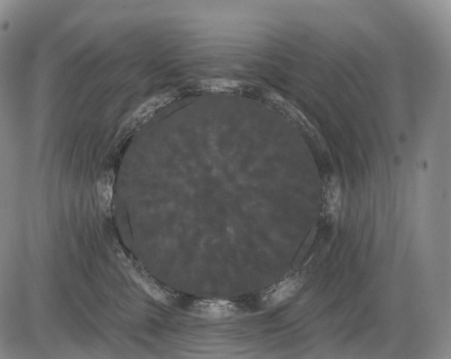 X0000084580427200703021535
