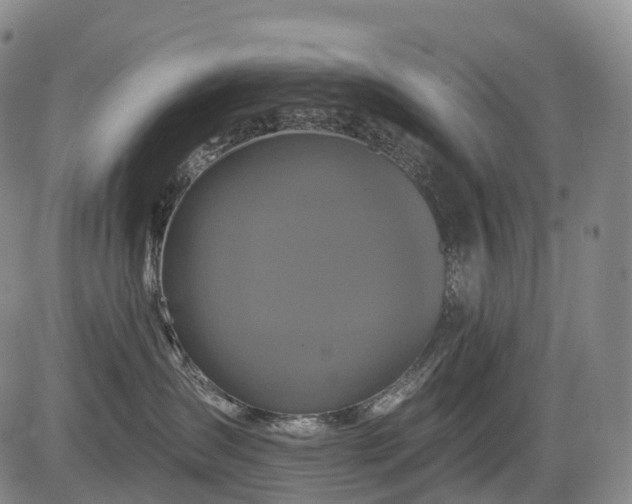 X0000084580431200703021535