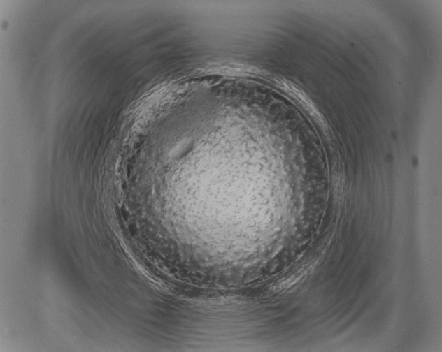 X0000084580433200703021534