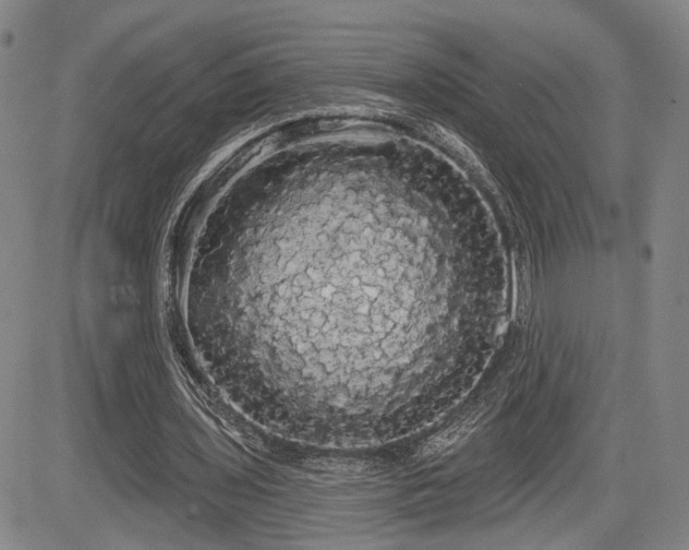 X0000084580435200703021534