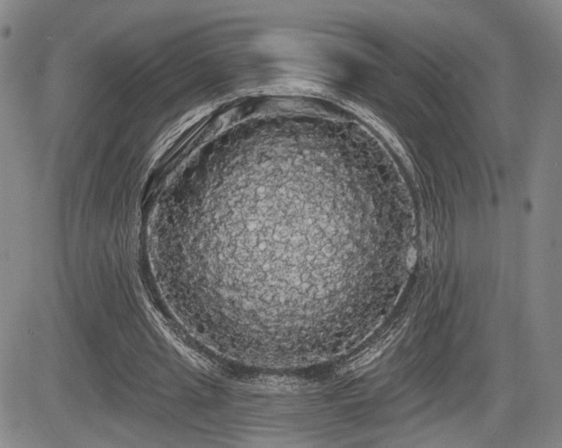 X0000084580437200703021534