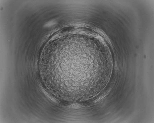 X0000084580441200703021534