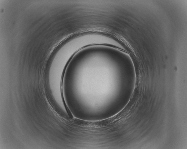 X0000084580444200703021534