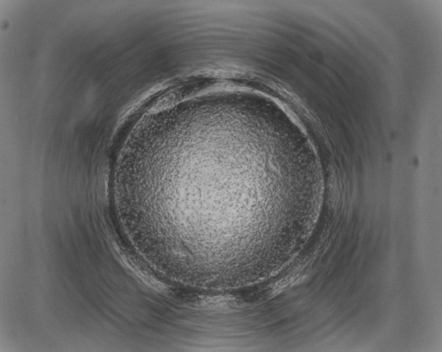 X0000084580446200703021534
