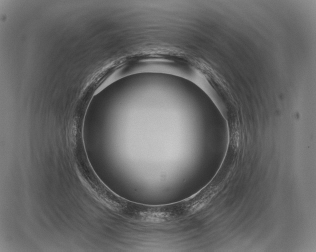 X0000084580448200703021534