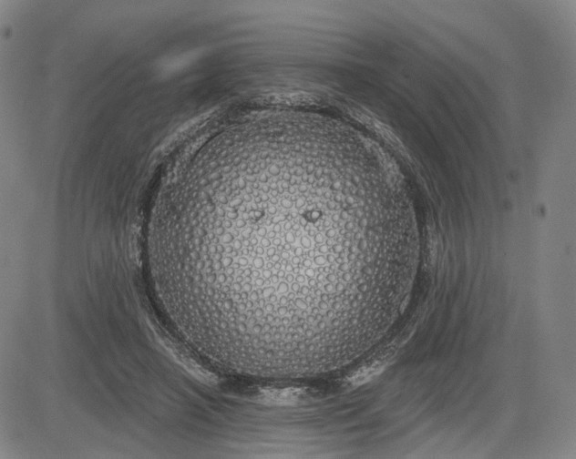 X0000084580450200703021534