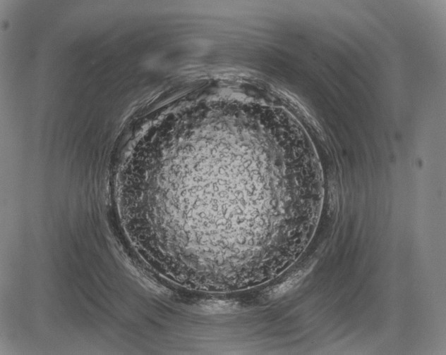 X0000084580453200703021534