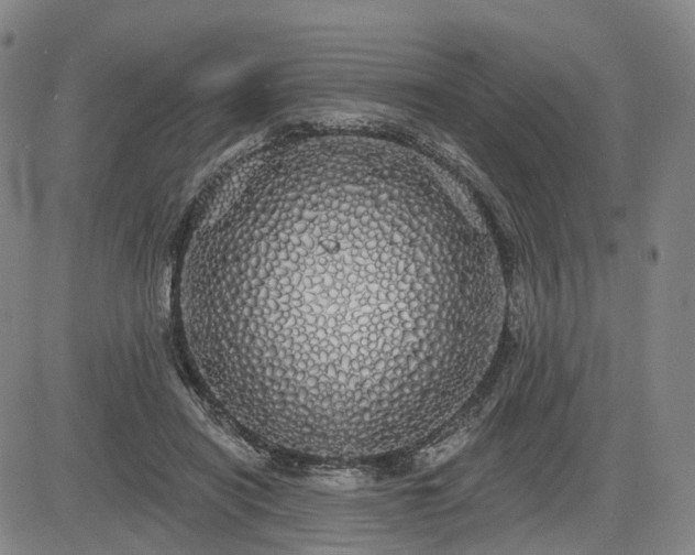 X0000084580454200703021534