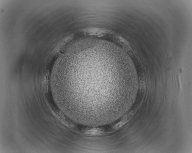 X0000084580460200703021535