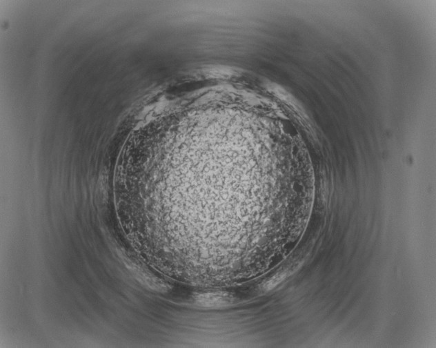 X0000084580461200703021535