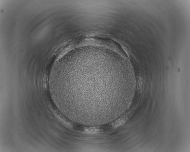 X0000084580470200703021535