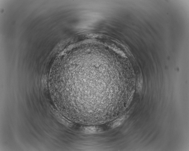 X0000084580473200703021535