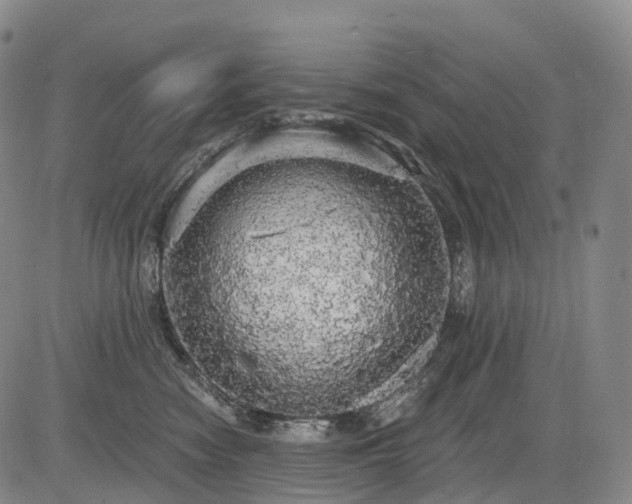 X0000084580474200703021535