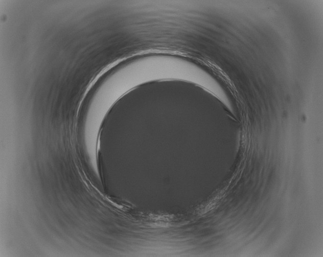 X0000084580484200703021534