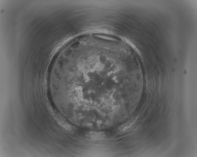 X0000084580487200703021534
