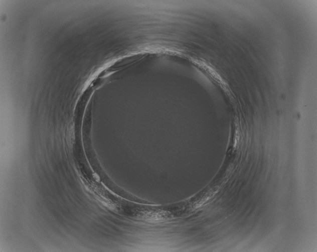 X0000084580488200703021534