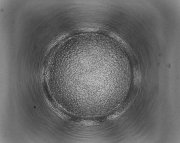X0000084580490200703021534