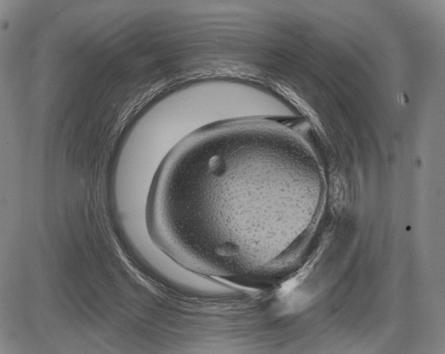 X0000084580493200703021534