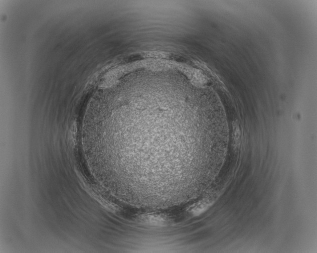 X0000084580498200703021534