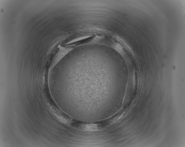 X0000084580501200703021534