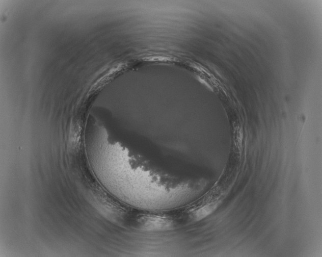 X0000084580507200703021534