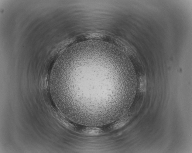 X0000084580514200703021533